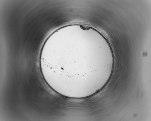 X0000103441296200810031405
