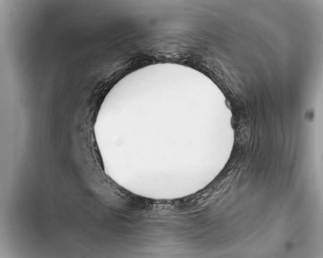 X0000103441297200810031404