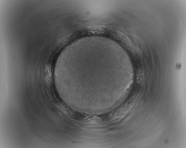 X0000103441298200810031404