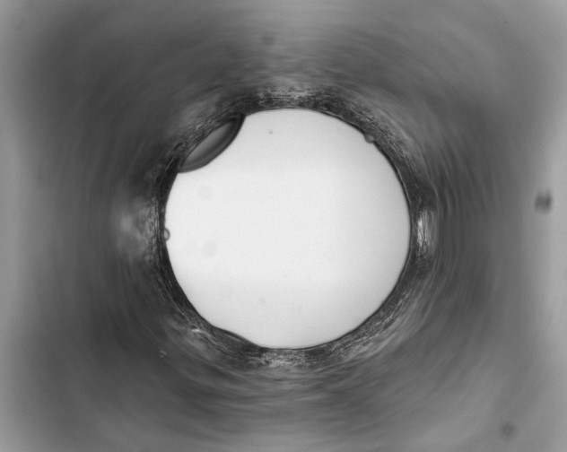 X0000103441299200810031404