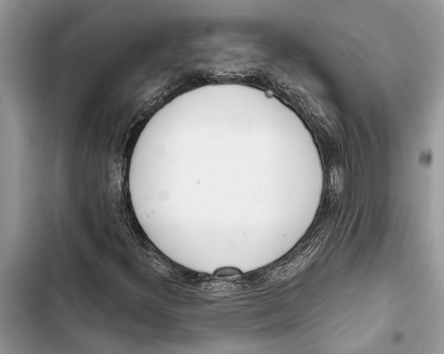 X0000103441300200810031404