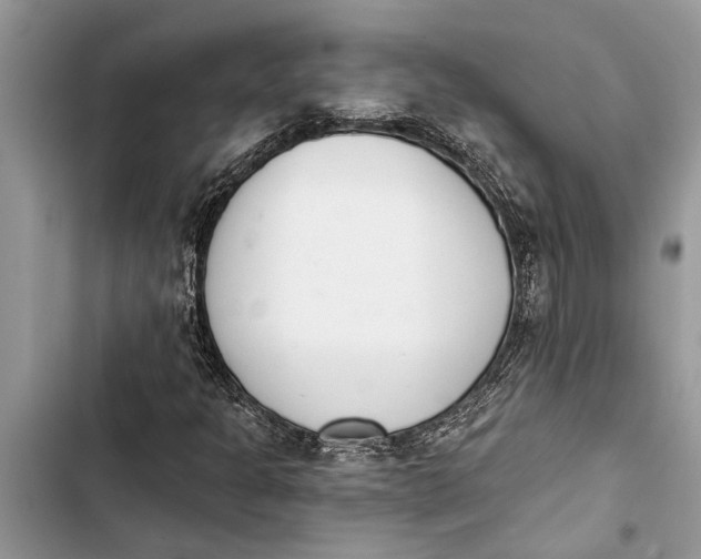 X0000103441301200810031404