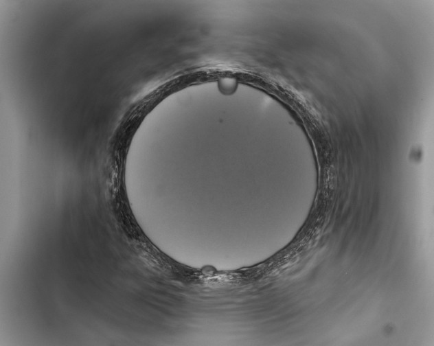 X0000103441303200810031404