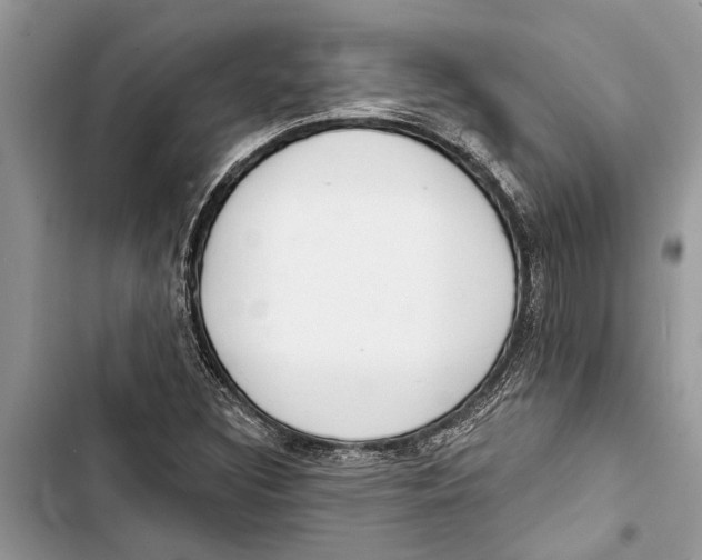 X0000103441308200810031404
