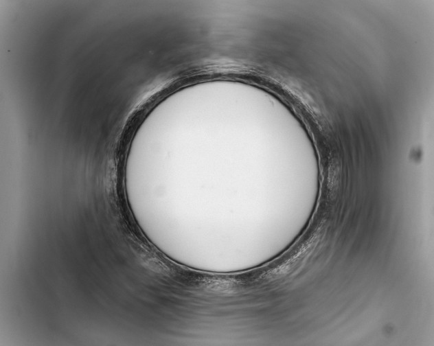 X0000103441309200810031404