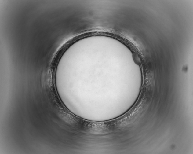 X0000103441310200810031404