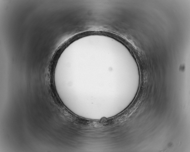X0000103441311200810031404