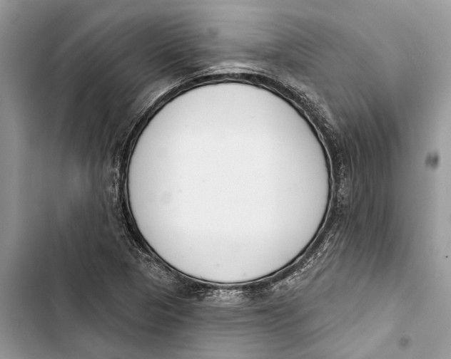 X0000103441313200810031404