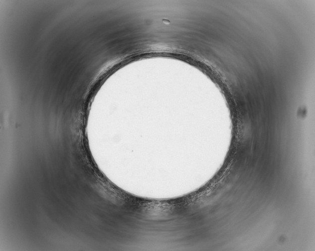 X0000103441314200810031404
