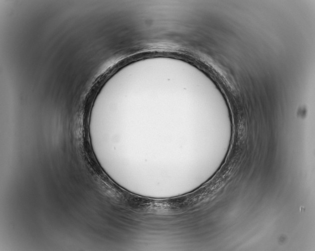 X0000103441315200810031404