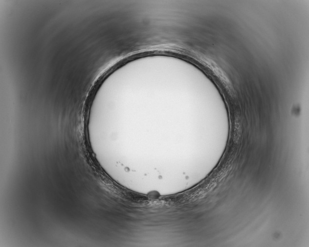 X0000103441316200810031404