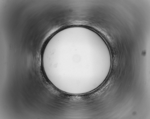 X0000103441317200810031404