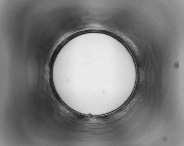 X0000103441318200810031404