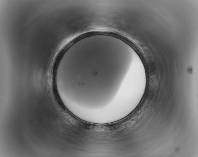 X0000103441319200810031404