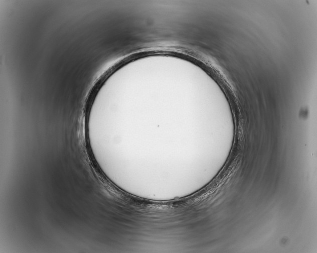 X0000103441320200810031404