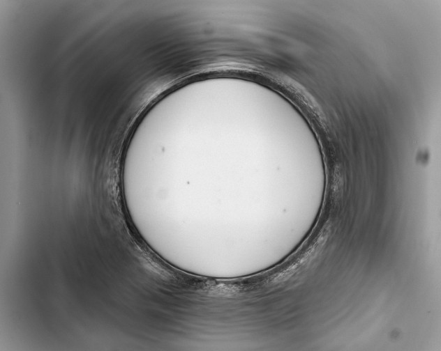 X0000103441321200810031404
