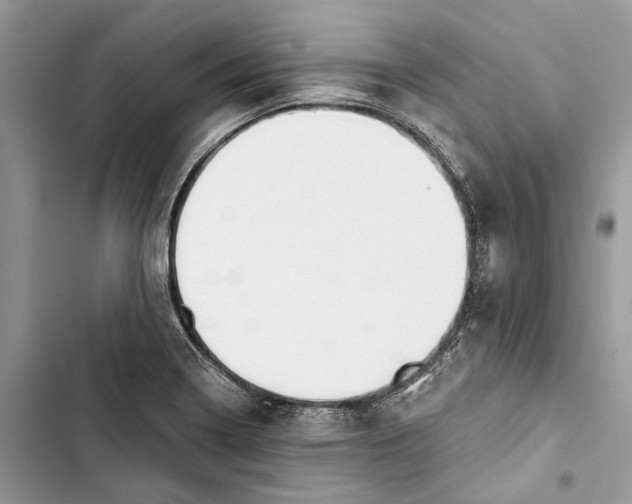 X0000103441322200810031404