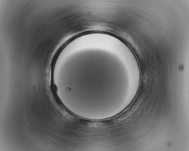 X0000103441323200810031404
