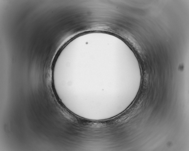 X0000103441324200810031404