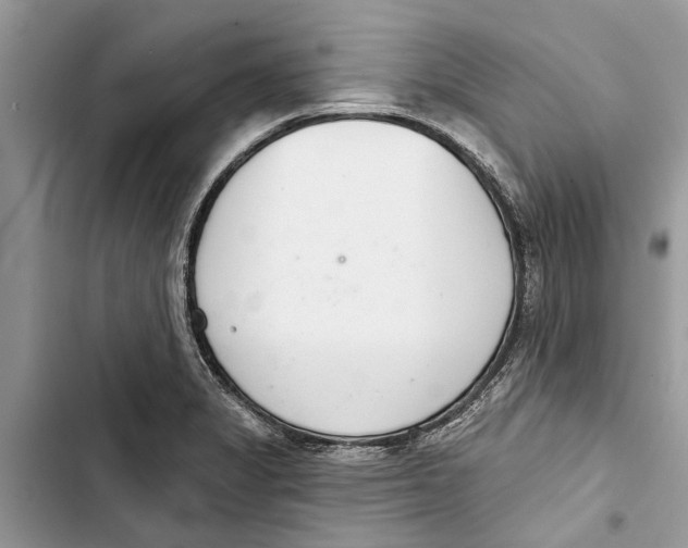 X0000103441325200810031404