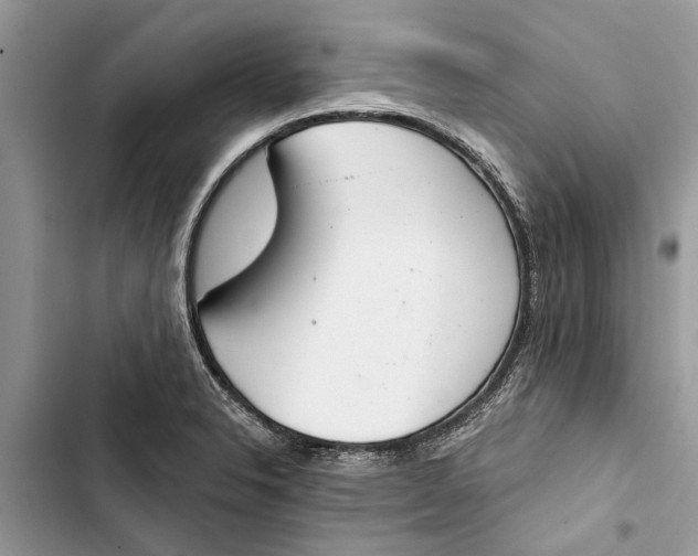 X0000103441326200810031404
