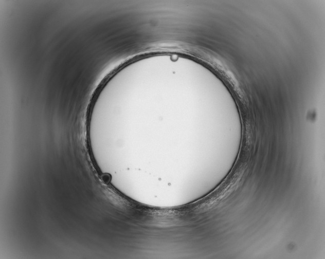 X0000103441328200810031404