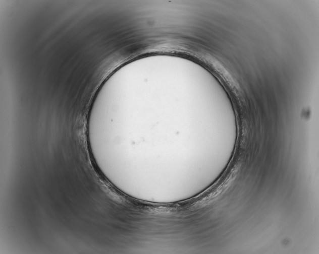 X0000103441329200810031404