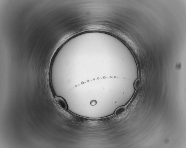 X0000103441330200810031404