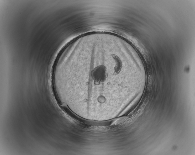 X0000103441331200810031404