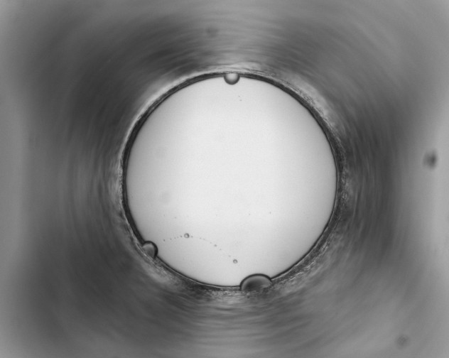 X0000103441332200810031404