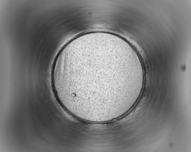 X0000103441333200810031404
