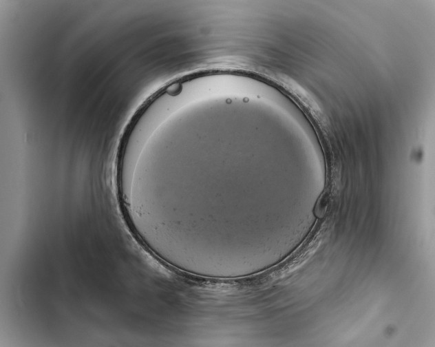 X0000103441334200810031404