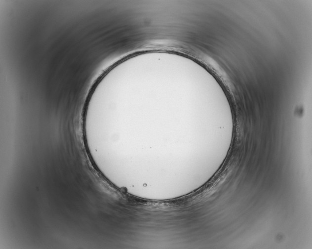 X0000103441336200810031404