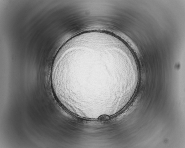 X0000103441337200810031404