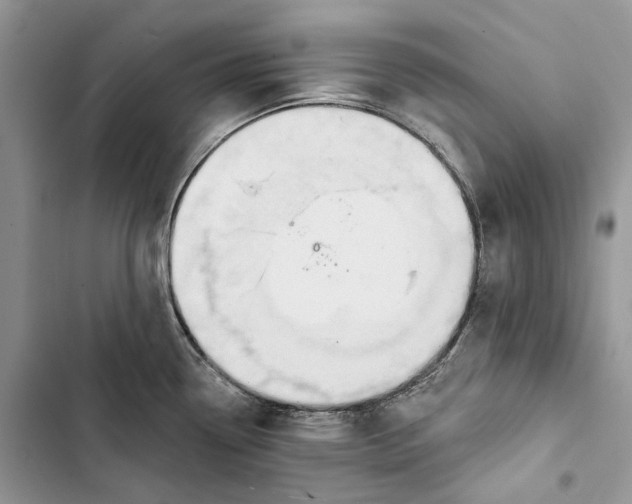 X0000103441338200810031404