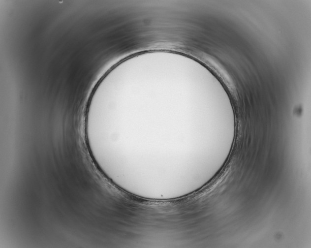 X0000103441340200810031405