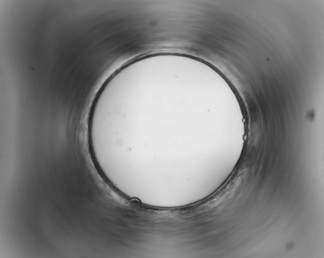 X0000103441341200810031405