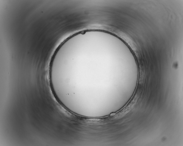 X0000103441342200810031405