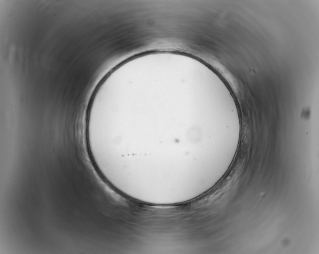 X0000103441343200810031405