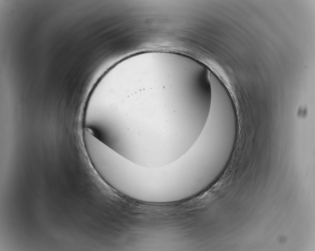 X0000103441344200810031405