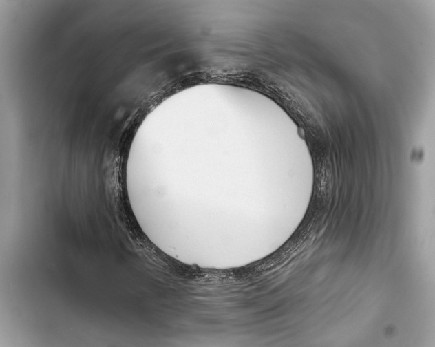 X0000103441346200810031404