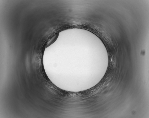 X0000103441348200810031404