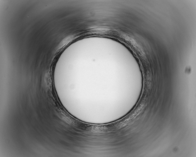 X0000103441354200810031404