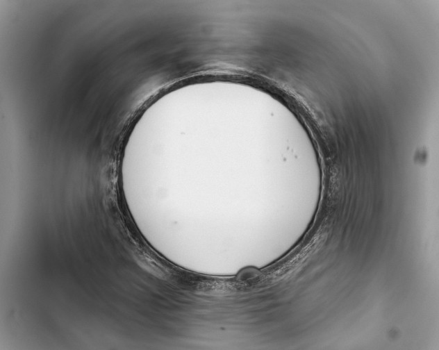 X0000103441355200810031404