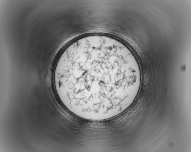 X0000103441356200810031404
