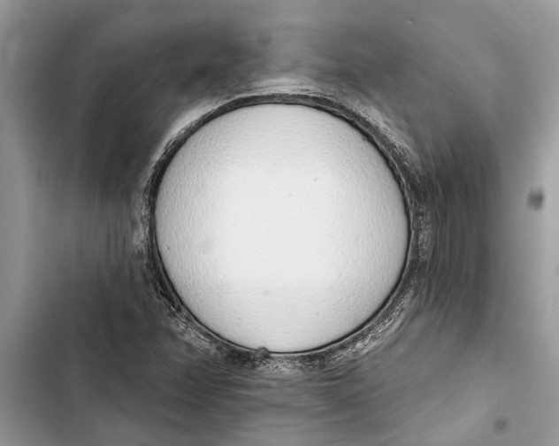 X0000103441358200810031404