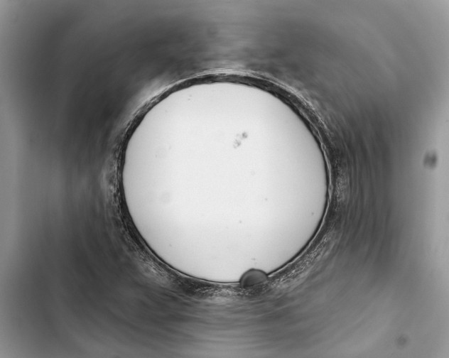 X0000103441359200810031404
