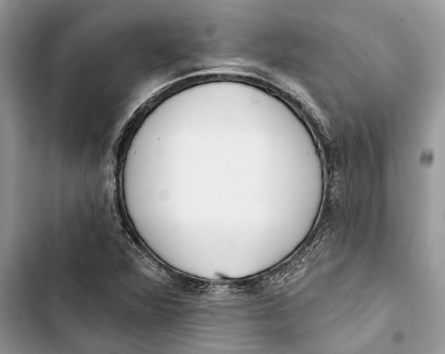 X0000103441360200810031404