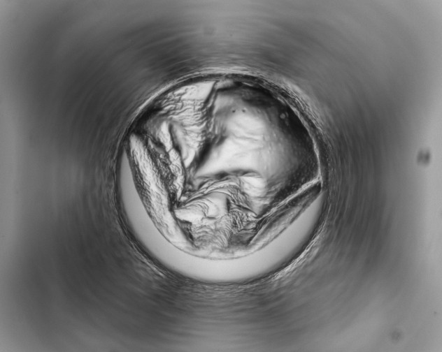 X0000103441361200810031404