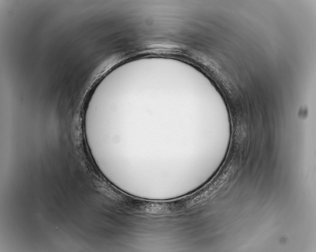 X0000103441362200810031404